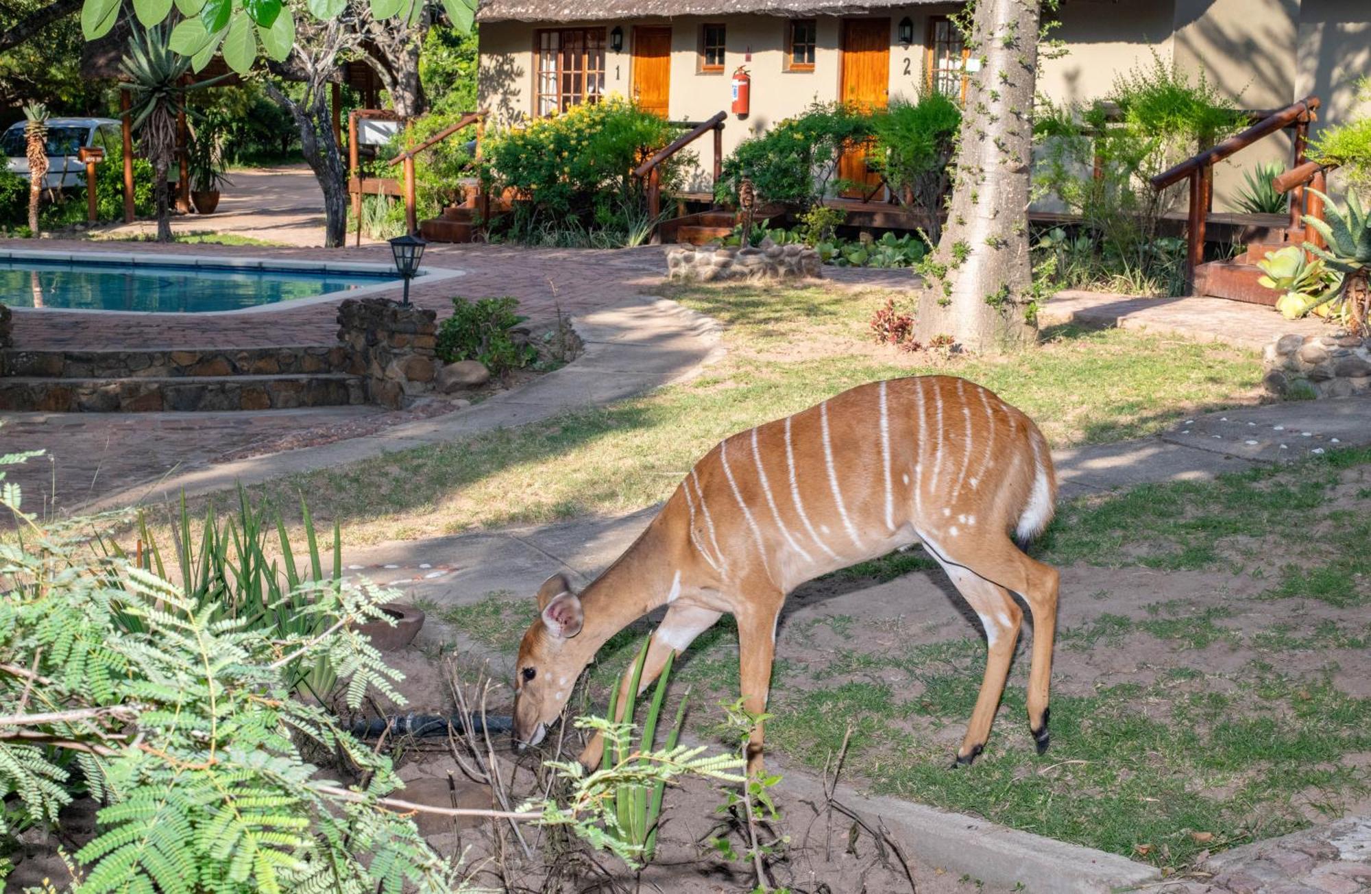 Thornhill Safari Lodge Guernsey Nature Reserve Exterior foto